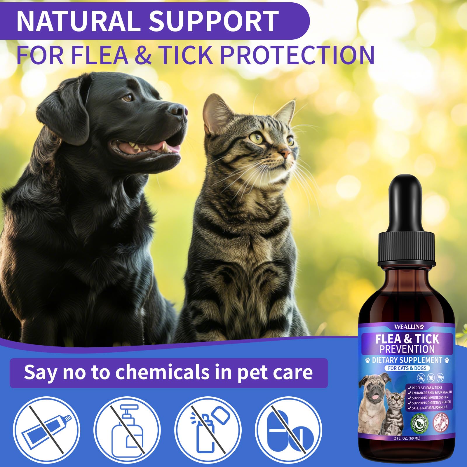 WEALLIN gentle-introduction scene shows gradual routine for pets.