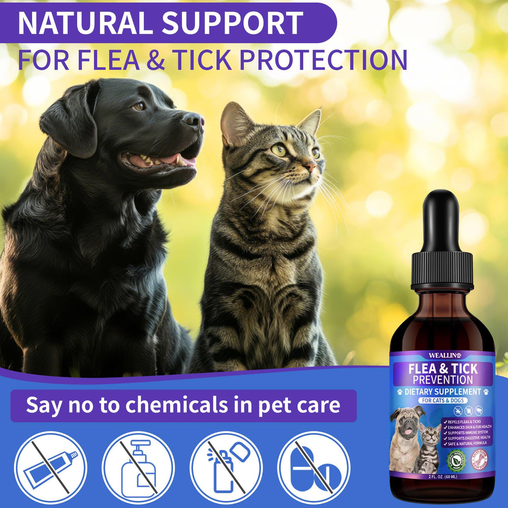 WEALLIN gentle-introduction scene shows gradual routine for pets.