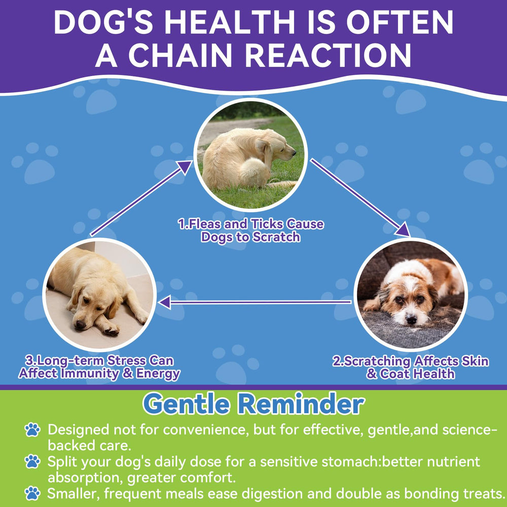 WEALLIN 500-chews jar shows long-lasting daily care.