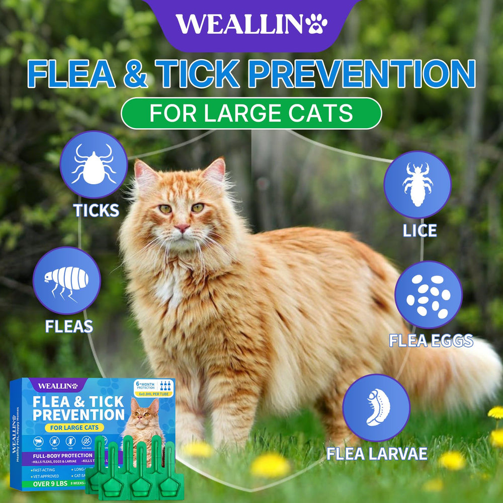 WEALLIN large cat protection for cats over 9 lbs delivers reliable, worry-free coverage.