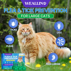 WEALLIN large cat protection for cats over 9 lbs delivers reliable, worry-free coverage.