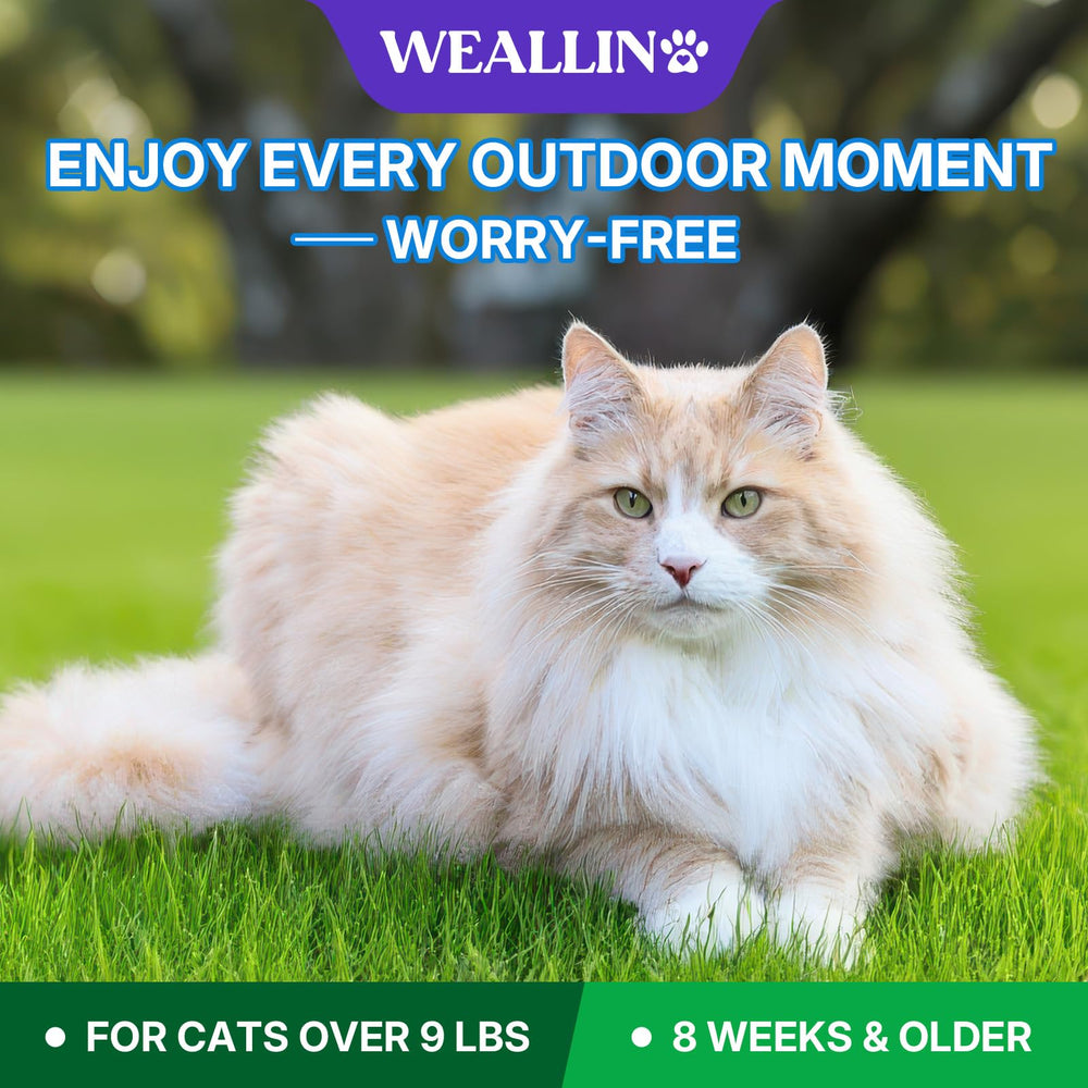 WEALLIN long-lasting flea control communicates ongoing defense across treatment cycles.