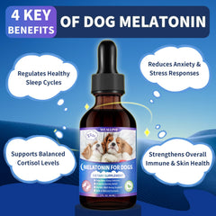 WEALLIN Melatonin for Dogs drops dispensed for easy dosing and administration.