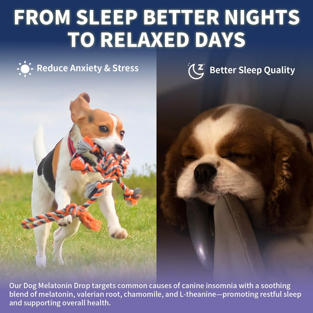 WEALLIN Melatonin for Dogs mixing into kibble or water for seamless serving.