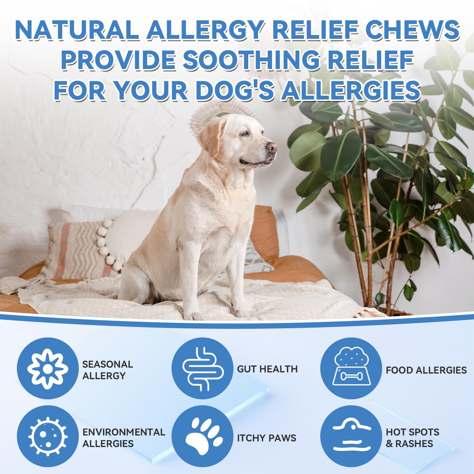 WEALLIN omega-3 dog chews for skin and coat nourishment