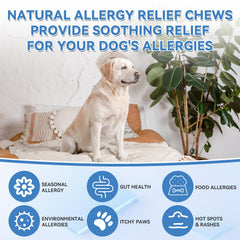WEALLIN omega-3 dog chews for skin and coat nourishment