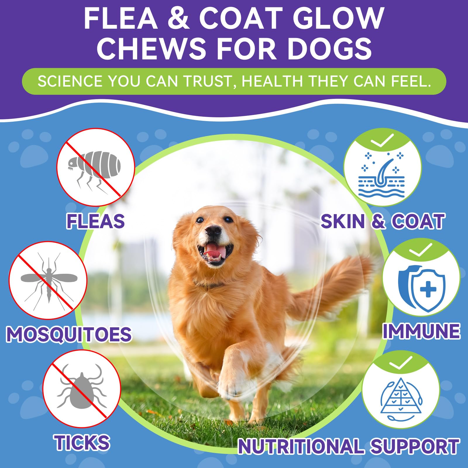 WEALLIN pumpkin-seed-extract ingredient supports natural flea defense.