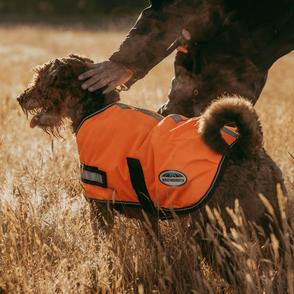 WeatherBeeta ComFiTec Reflective Parka 300D orange back view boosts low-light visibility.