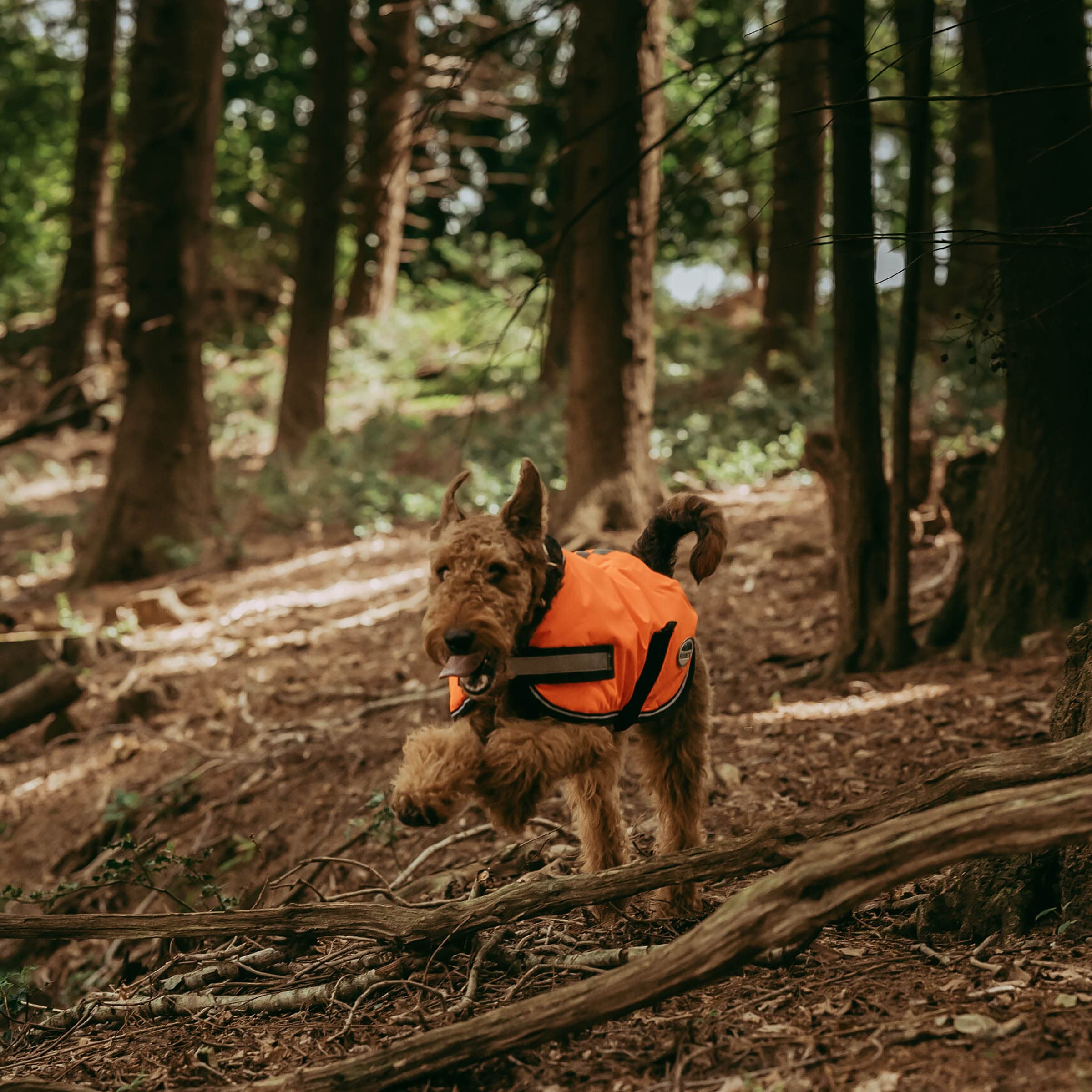 WeatherBeeta ComFiTec Reflective Parka 300D orange harness hole enables easy leash attachment.