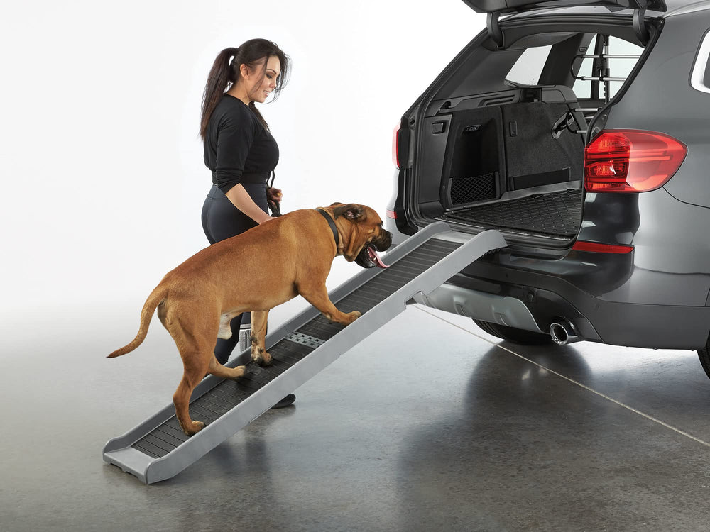 WeatherTech PetRamp on couch or bed shows versatile home use for pets.