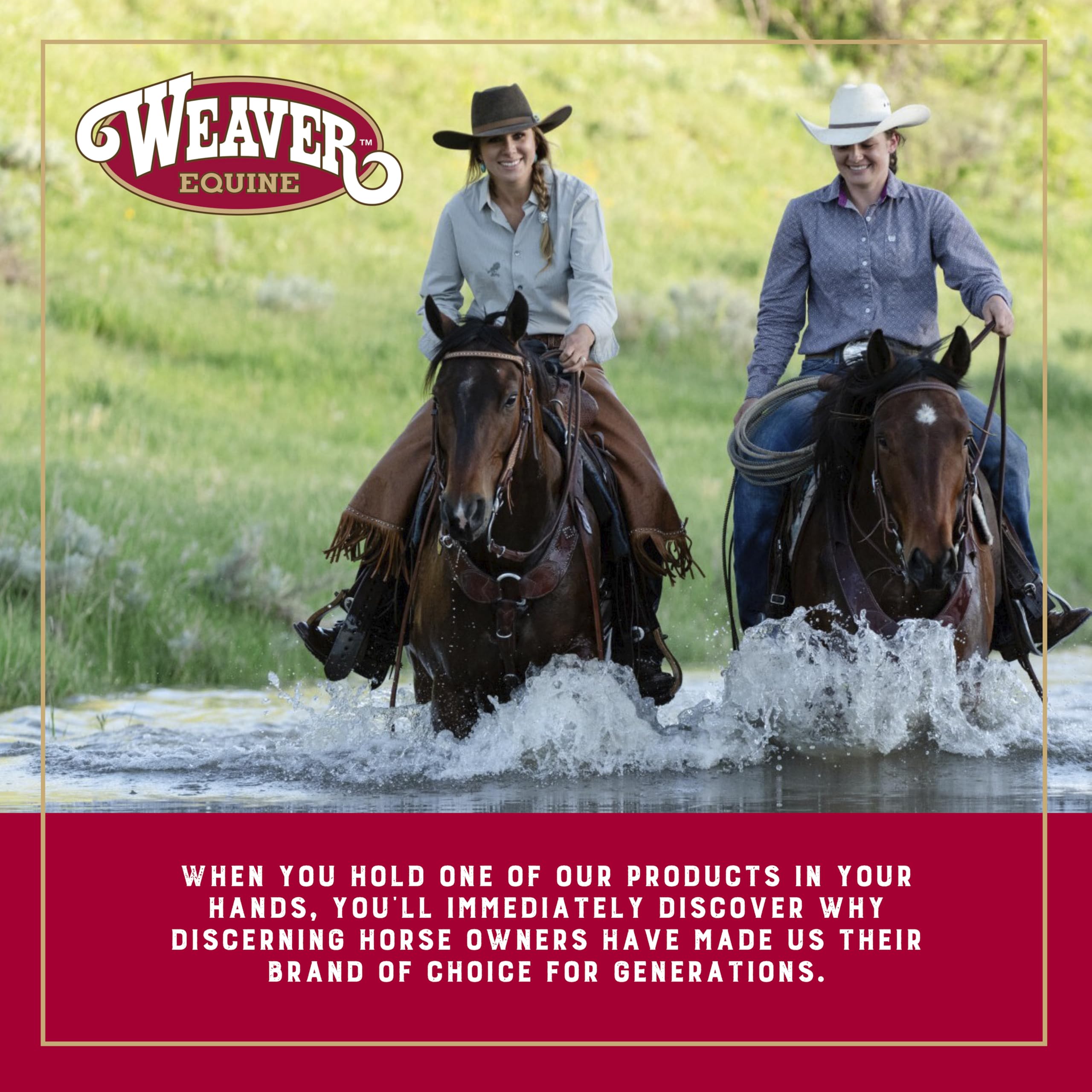 Weaver Leather mane and tail brush detangles and maintains coat flow