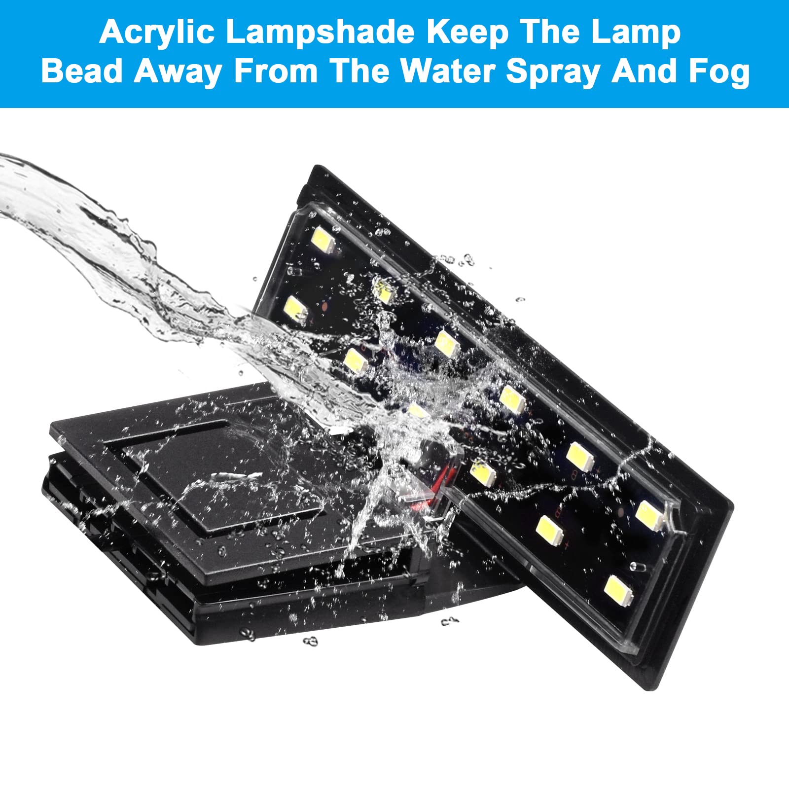 WEAVERBIRD 600lm brightness enhances fish and coral colors