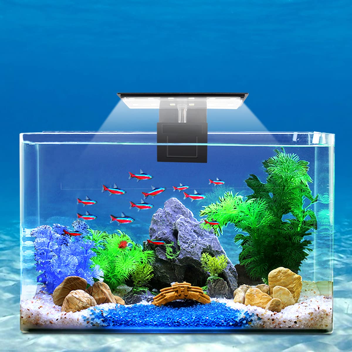 WEAVERBIRD aquarium light clip lamp 6W 12LED providing bright, efficient tank illumination