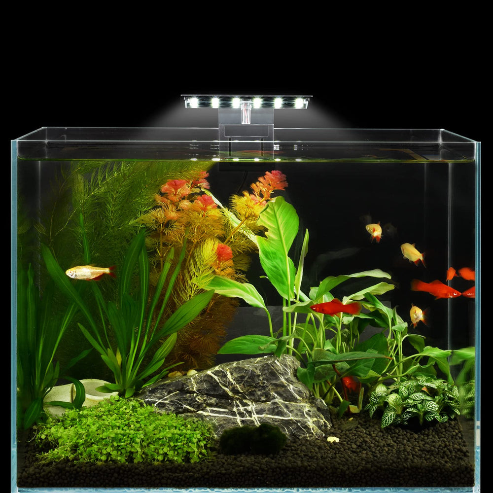 WEAVERBIRD plant friendly LED supports aquatic plant growth