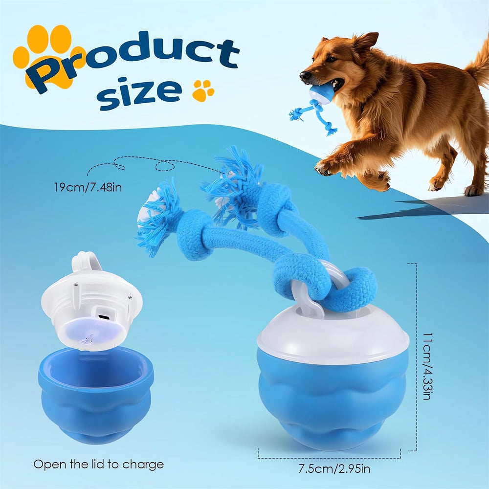 Webahow The Chase Buddy packaging indicates gift-ready option.