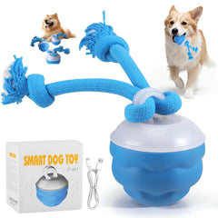 Webahow The Chase Buddy blue ball closeup shows durable indoor chasing design for dogs.
