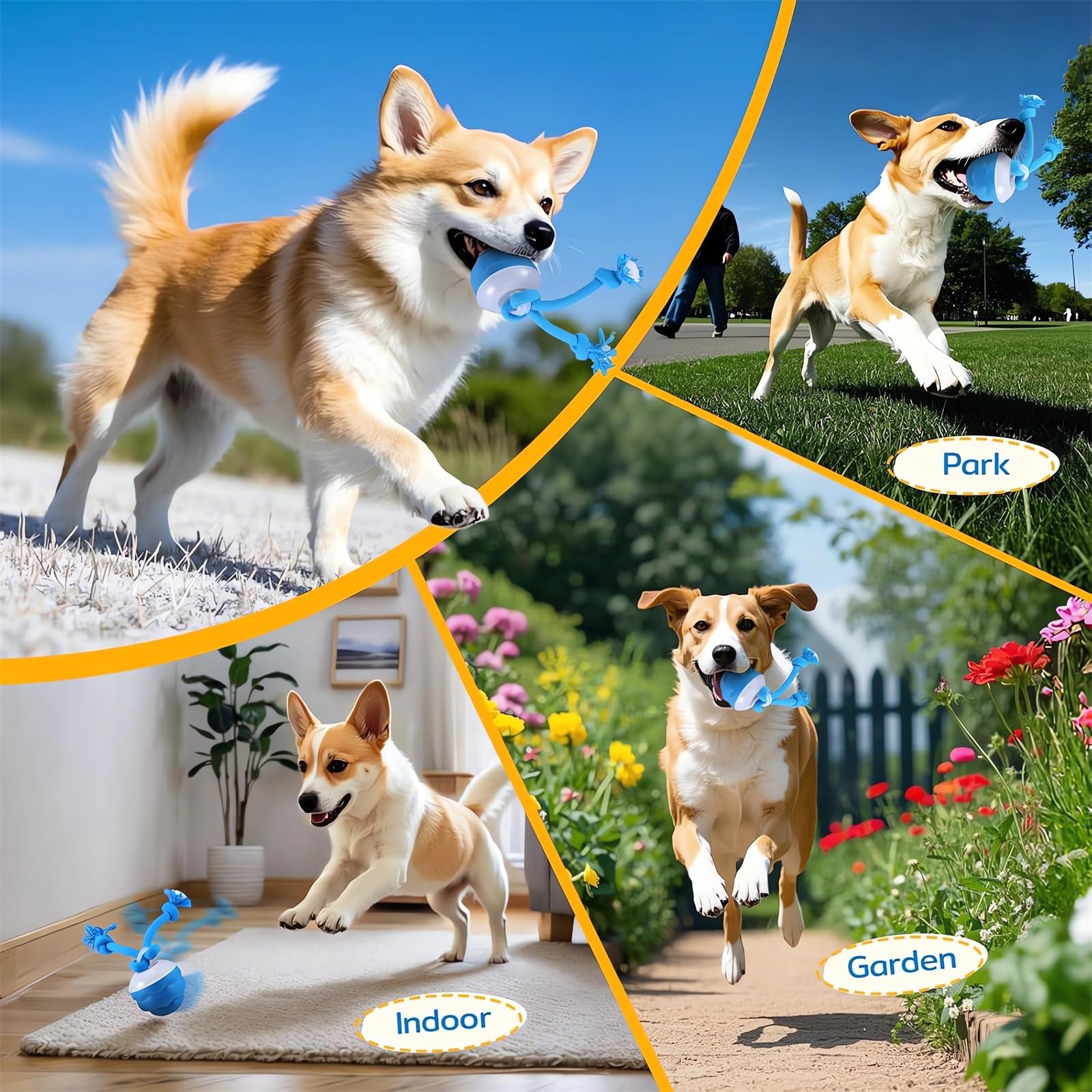 Webahow Chase Buddy self-play activation demonstrates hands-free entertainment for dogs.