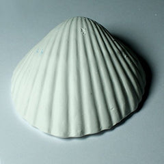 Weco Wonder Shells arranged in a glass jar enhance natural home styling.
