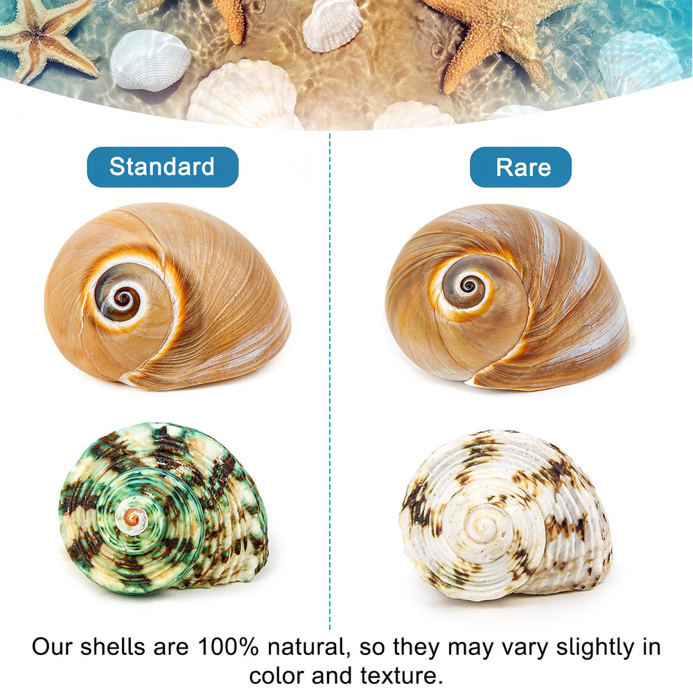 WeDoSoy reliable customer support ensures satisfaction with natural shells.