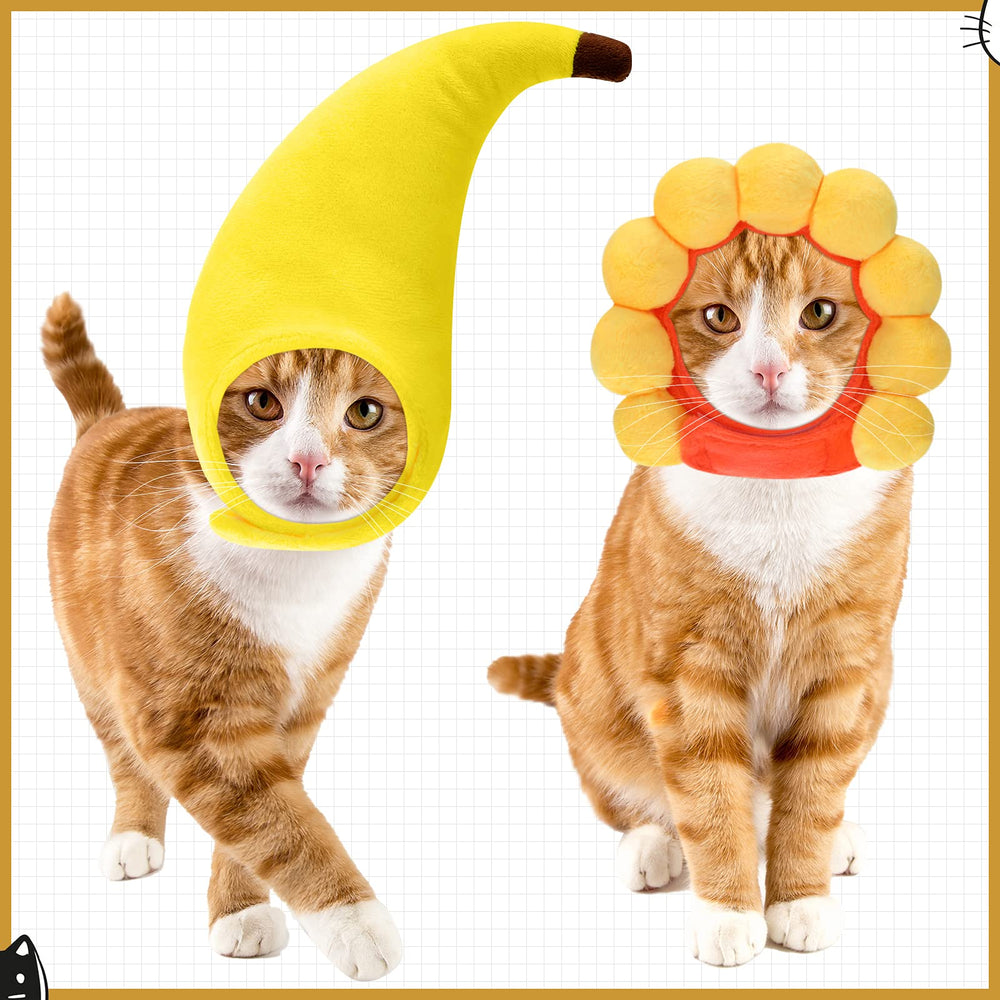 Weewooday 5pc set helps dress pets easily and capture memories.