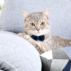 Weewooday adjustable cat collar with safety buckle provides secure fit for everyday wear.