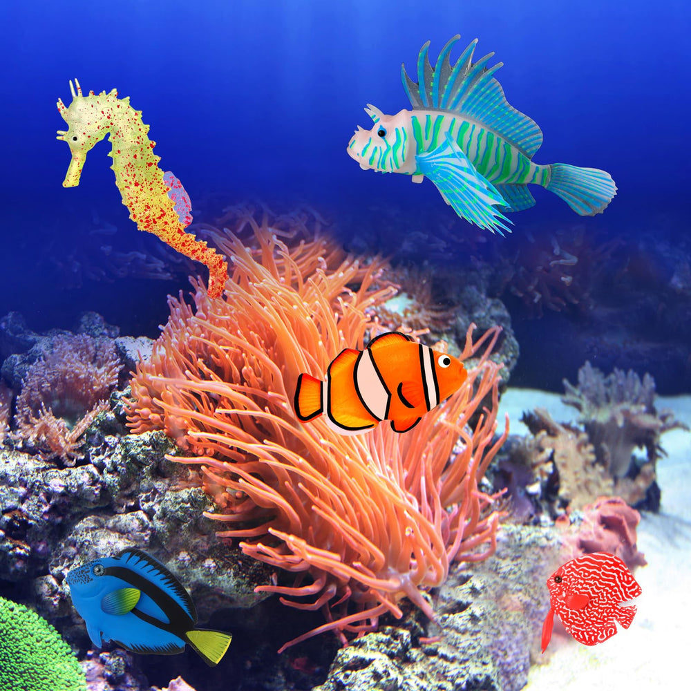 Weewooday ugly fish offers quirky charm as a focal point in your tank.