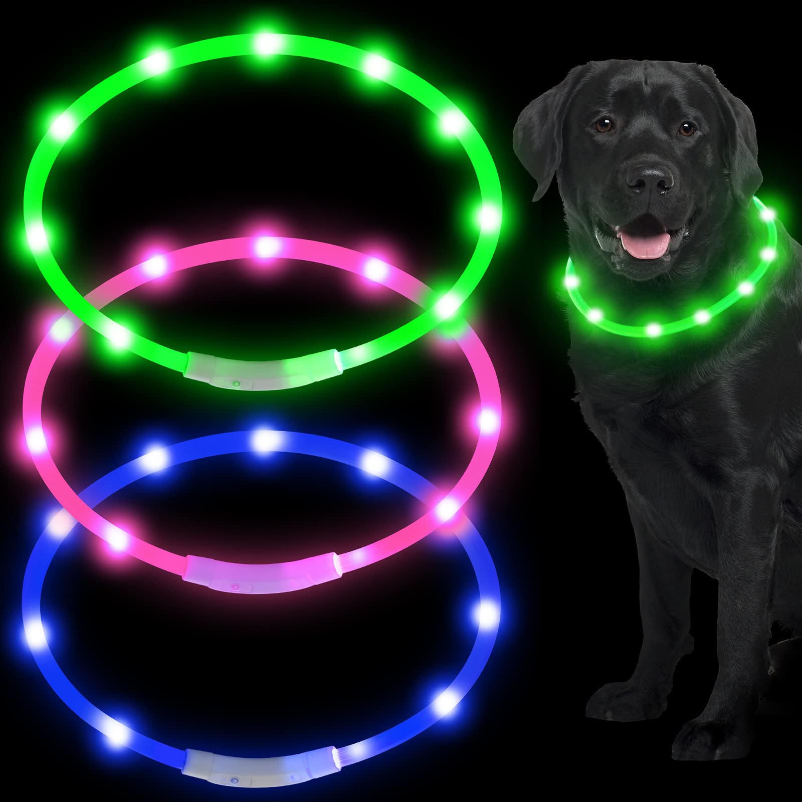 Weewooday blue LED dog collar for nighttime visibility during evening walks