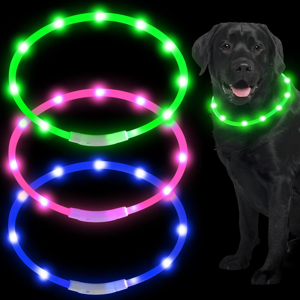 Weewooday blue LED dog collar for nighttime visibility during evening walks