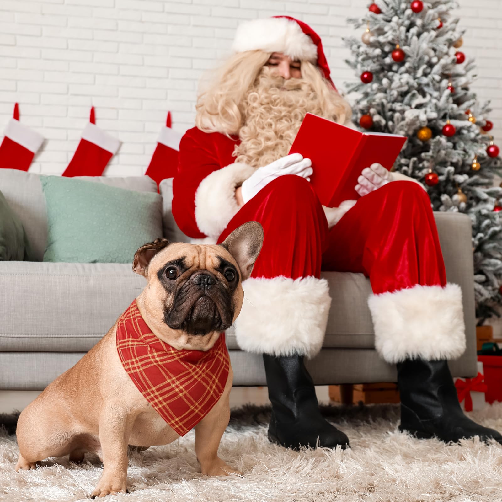 Weewooday bulk 50-pack enables easy replacement and gifting among friends with pets.