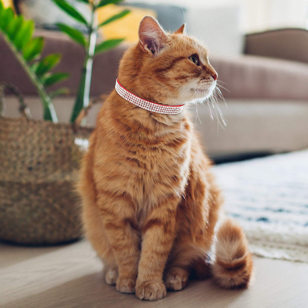 Weewooday cat collar with detachable bell for alert daily wear.