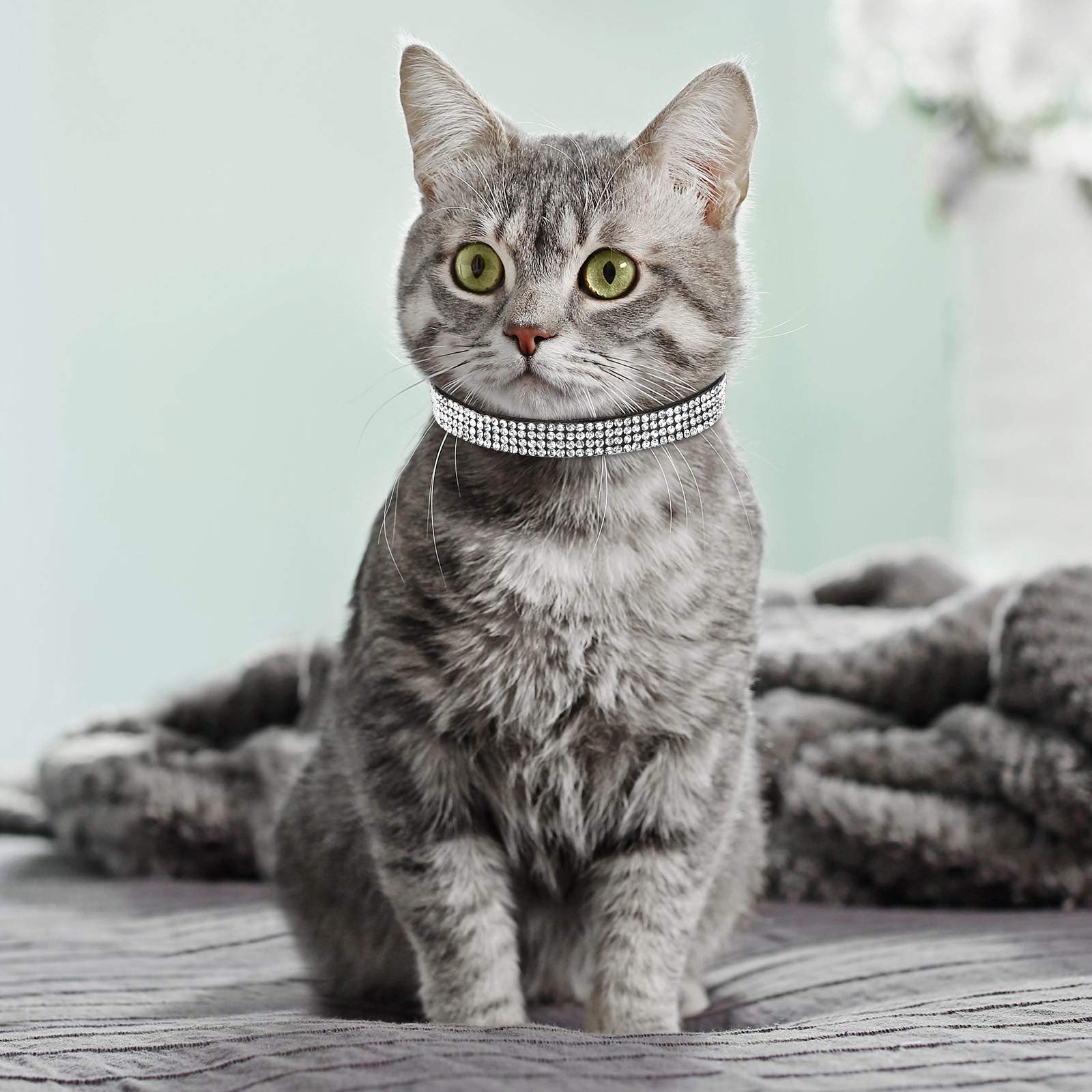 Weewooday gift-ready cat collar set, ideal for gifting to fellow pet lovers.