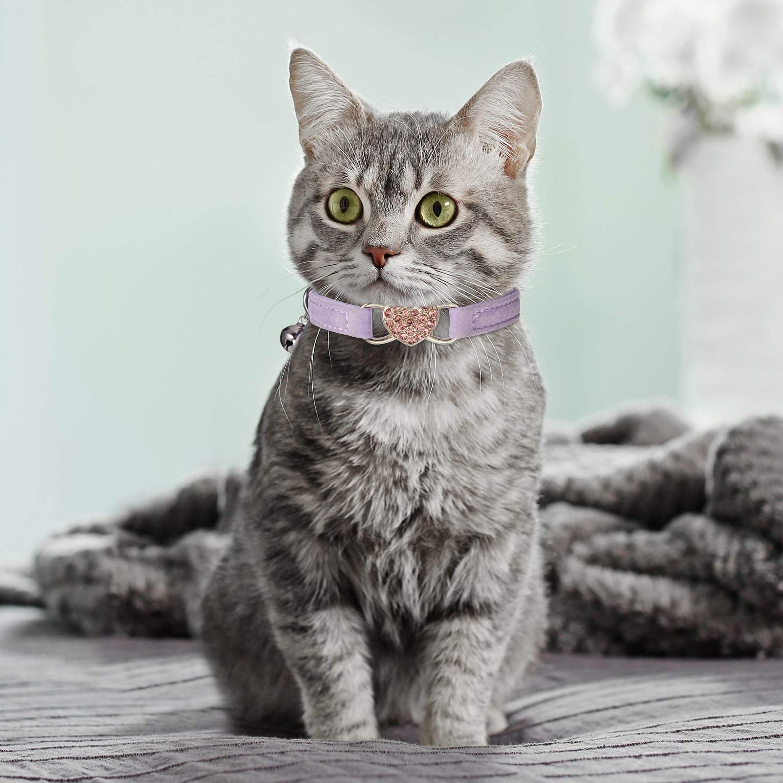 Weewooday velvet cat collar pink with bell for easy identification.
