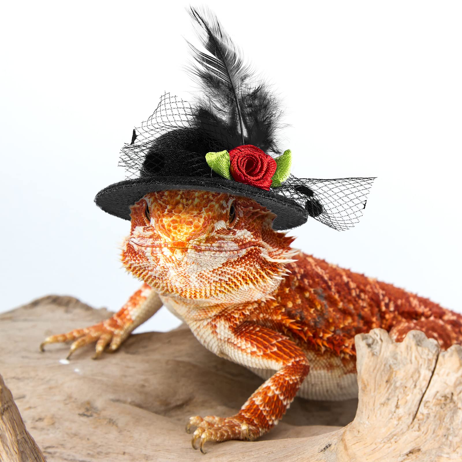 Weewooday chicken hat rose-red festive shade for celebrations.