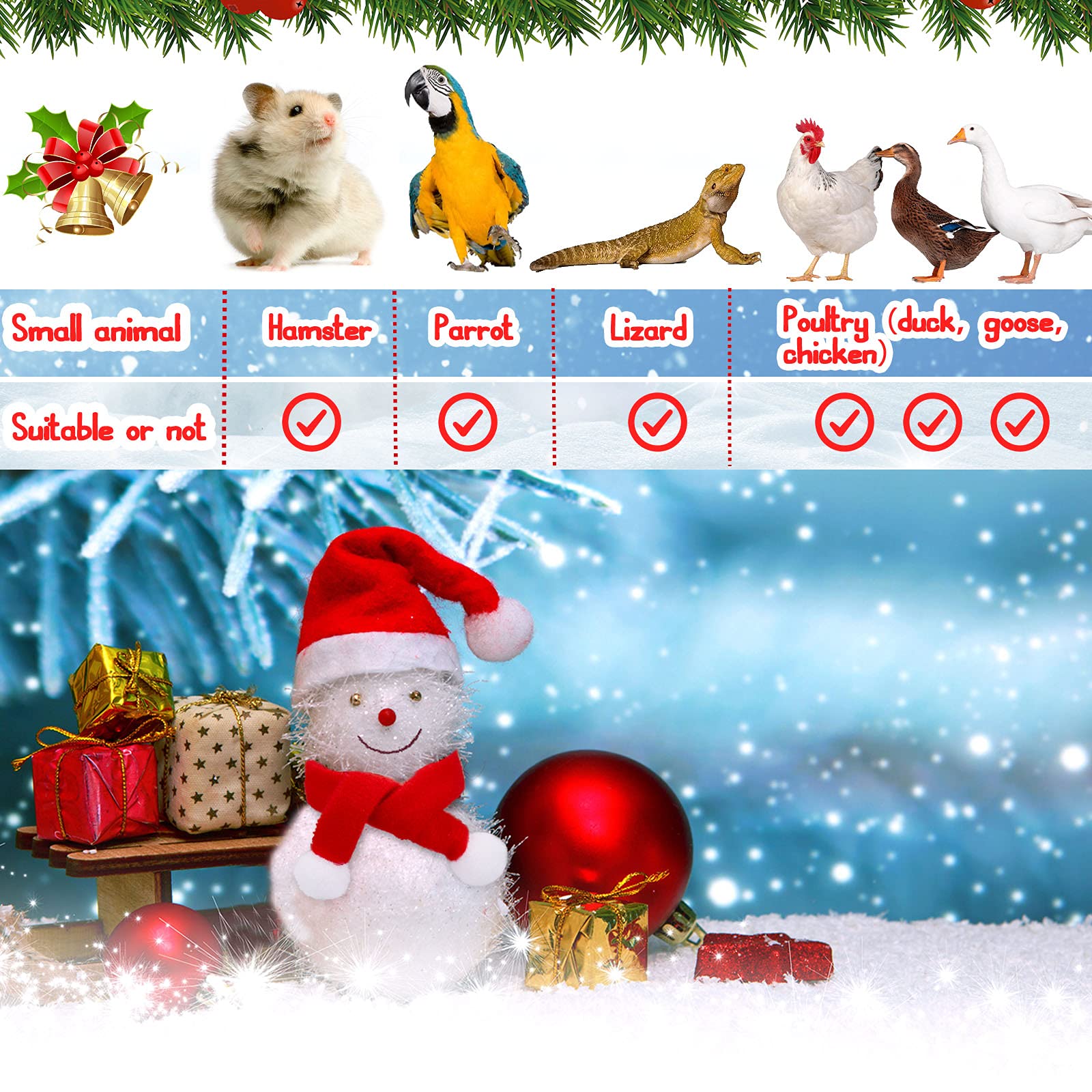 Weewooday chicken Santa hat set designed for small poultry pets