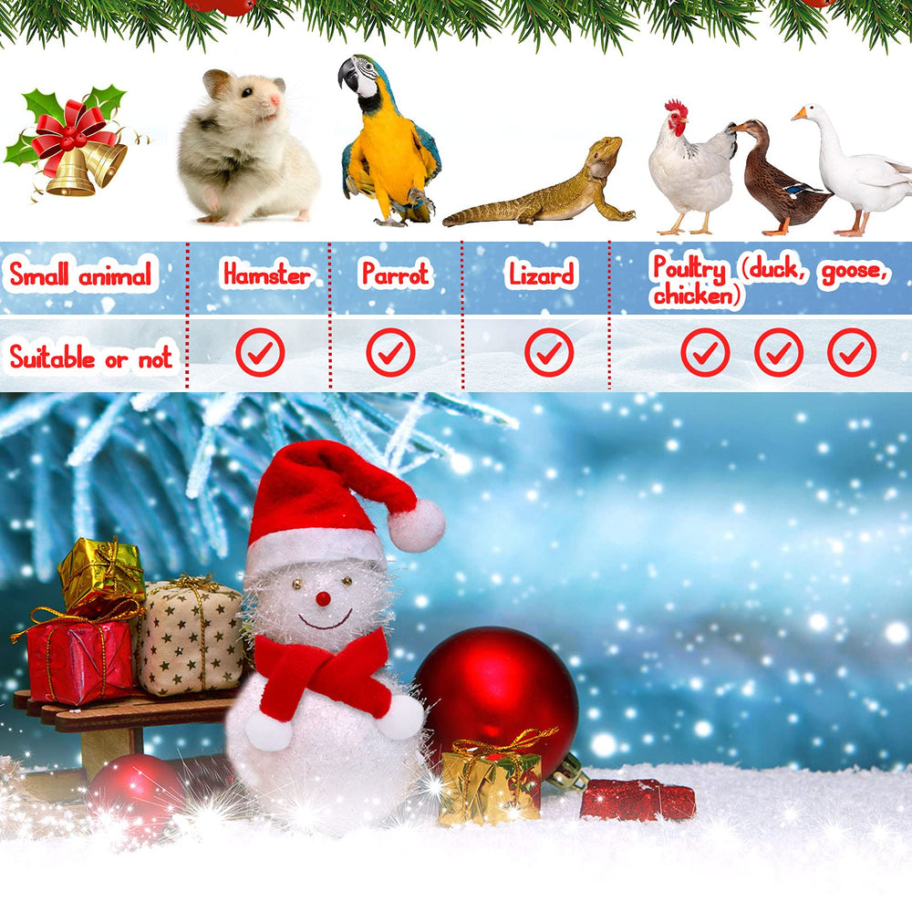 Weewooday chicken Santa hat set designed for small poultry pets