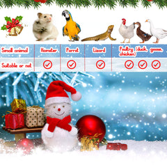 Weewooday chicken Santa hat set designed for small poultry pets