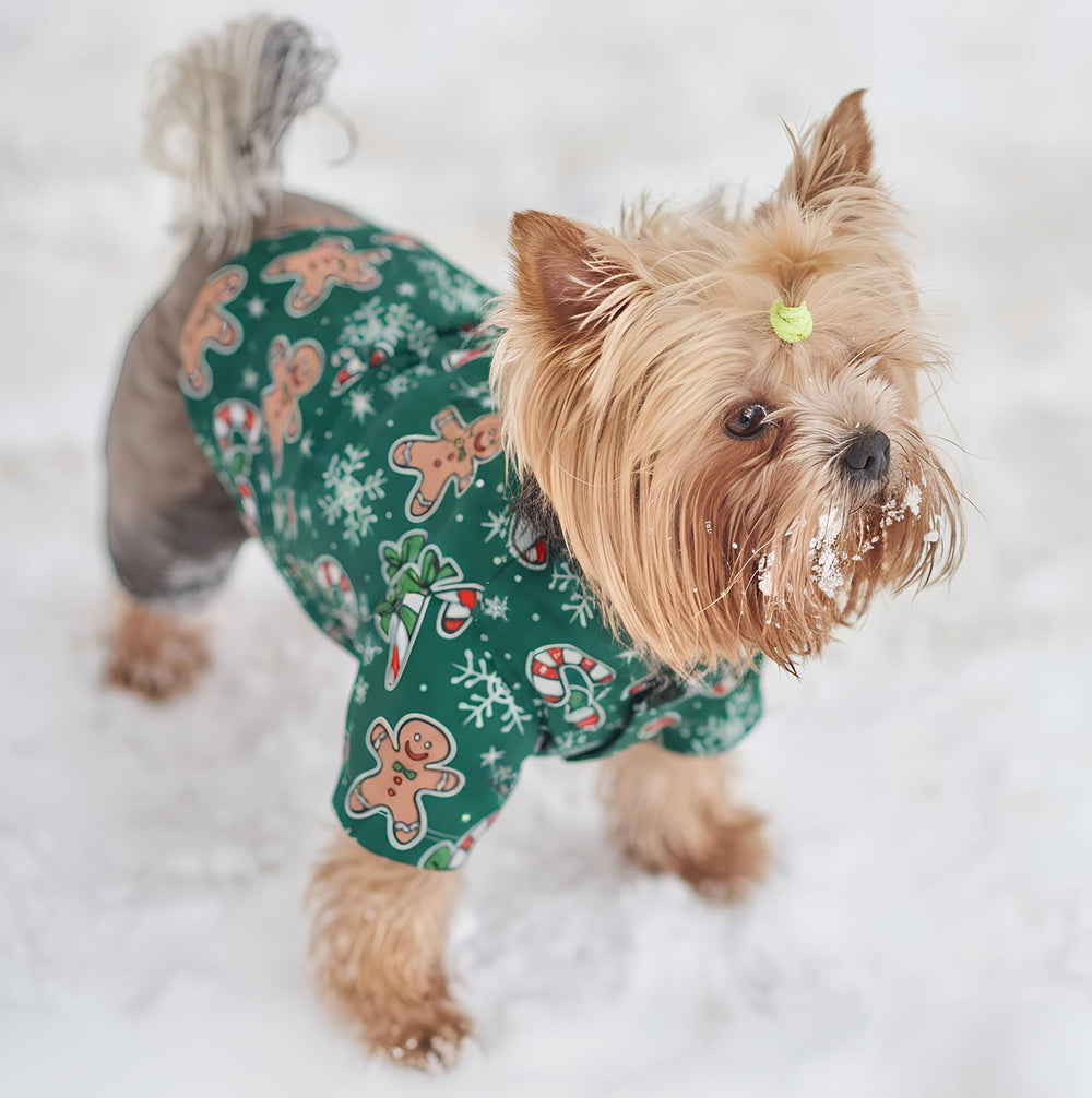 Weewooday Christmas dog shirt holiday candy design for colorful seasonal looks
