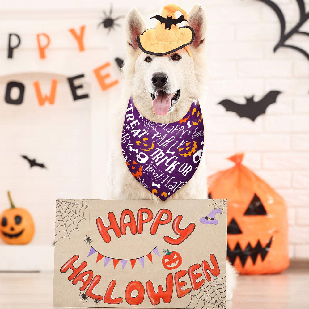 Weewooday daily-use dog bandana is washable and reusable.