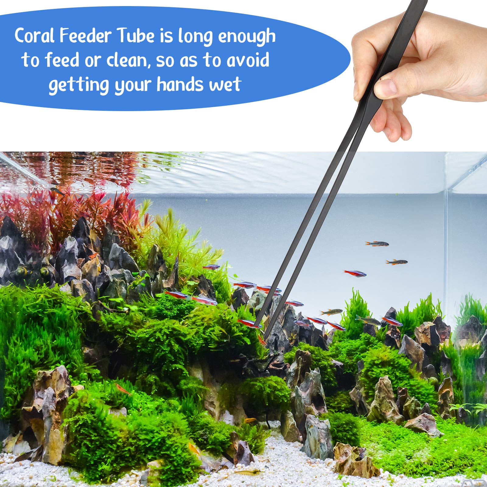 Weewooday deep-reach-feeding-tool reaching into tank with minimal disturbance.