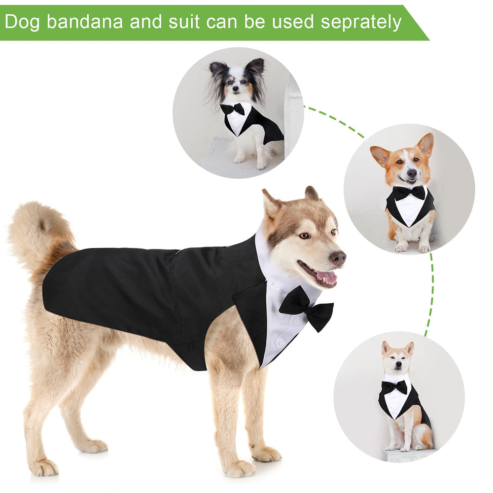Weewooday dog bandana bright color for festive or casual occasions.
