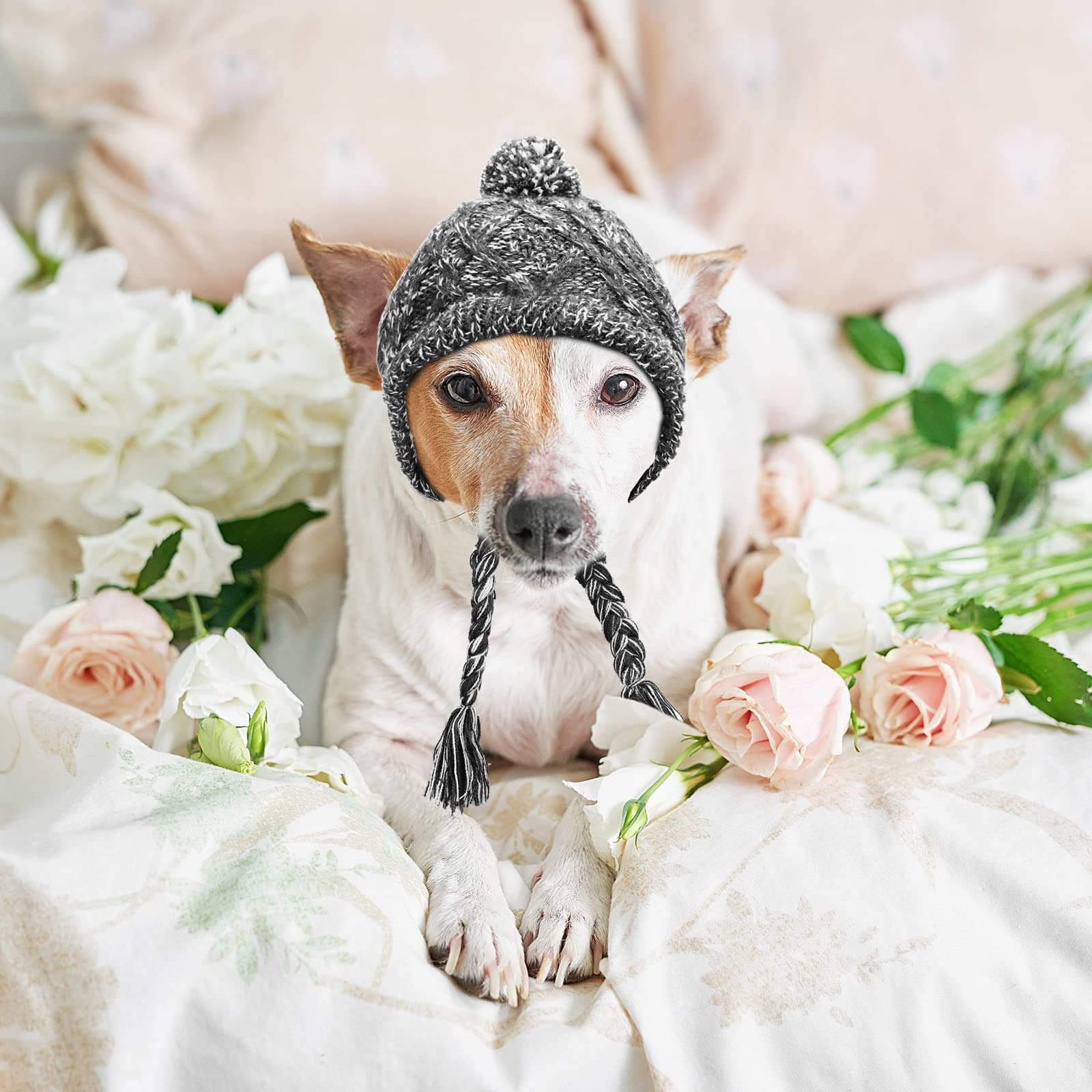 Weewooday dog beanie ear hole detail with tassels shows secure fit during play.