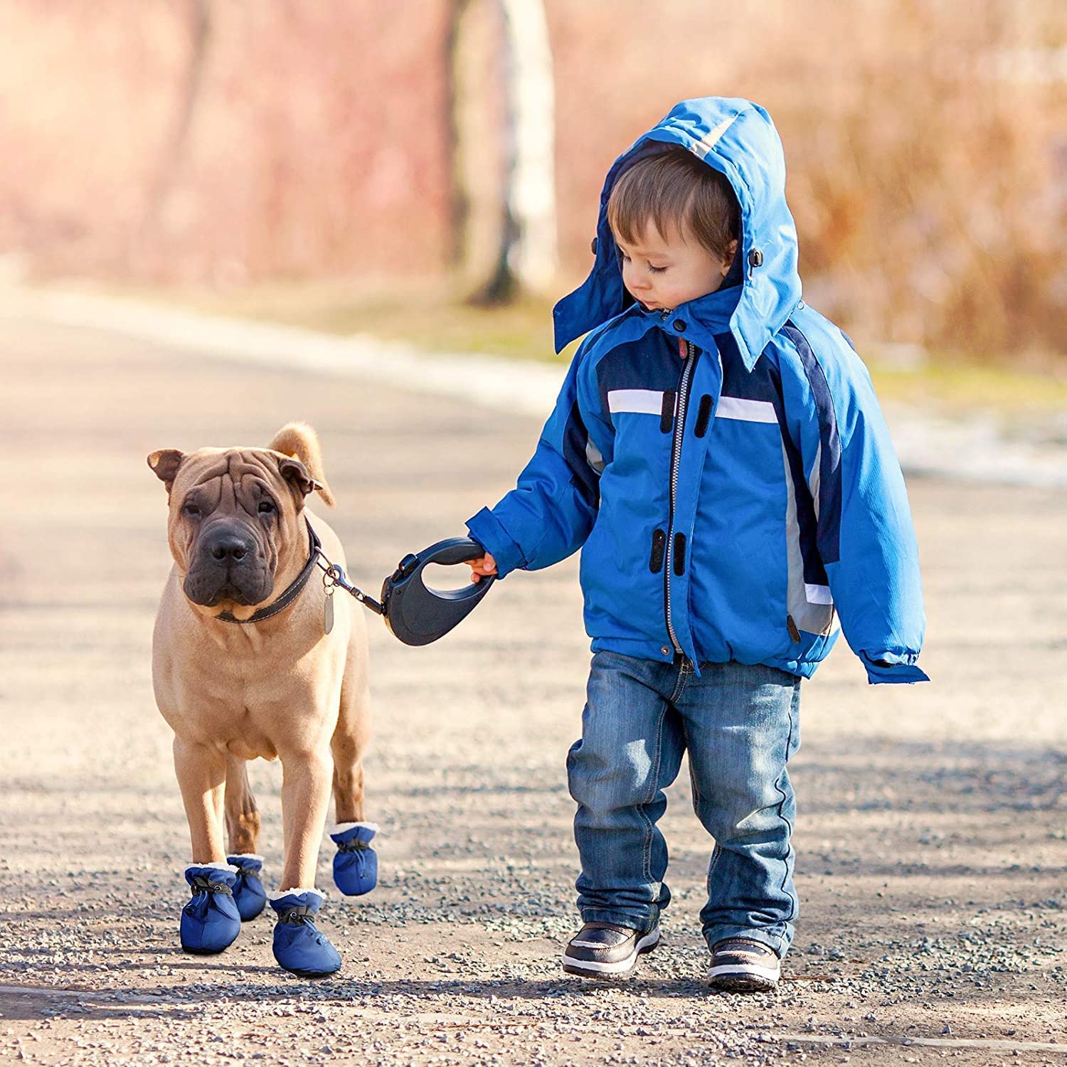 Weewooday dog boots color-variety set red blue black for quick style choices