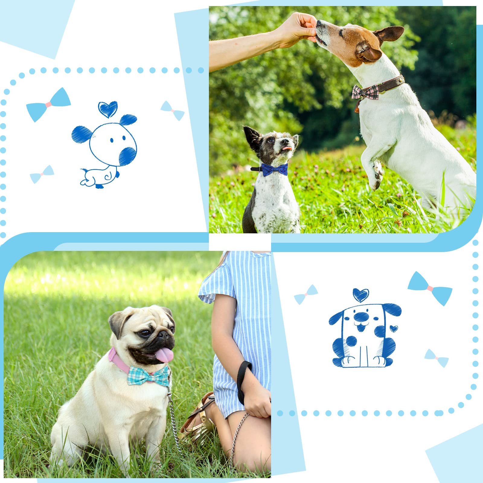 Weewooday dog bow set shows multi-color variation for photos