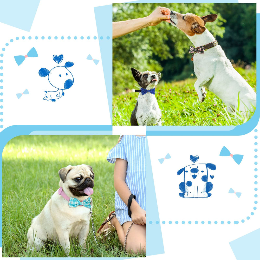 Weewooday dog bow set shows multi-color variation for photos