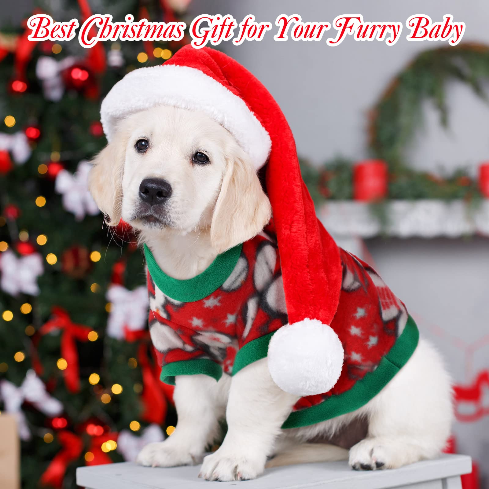 Weewooday Halloween-pattern dog clothes add festive flair for photos
