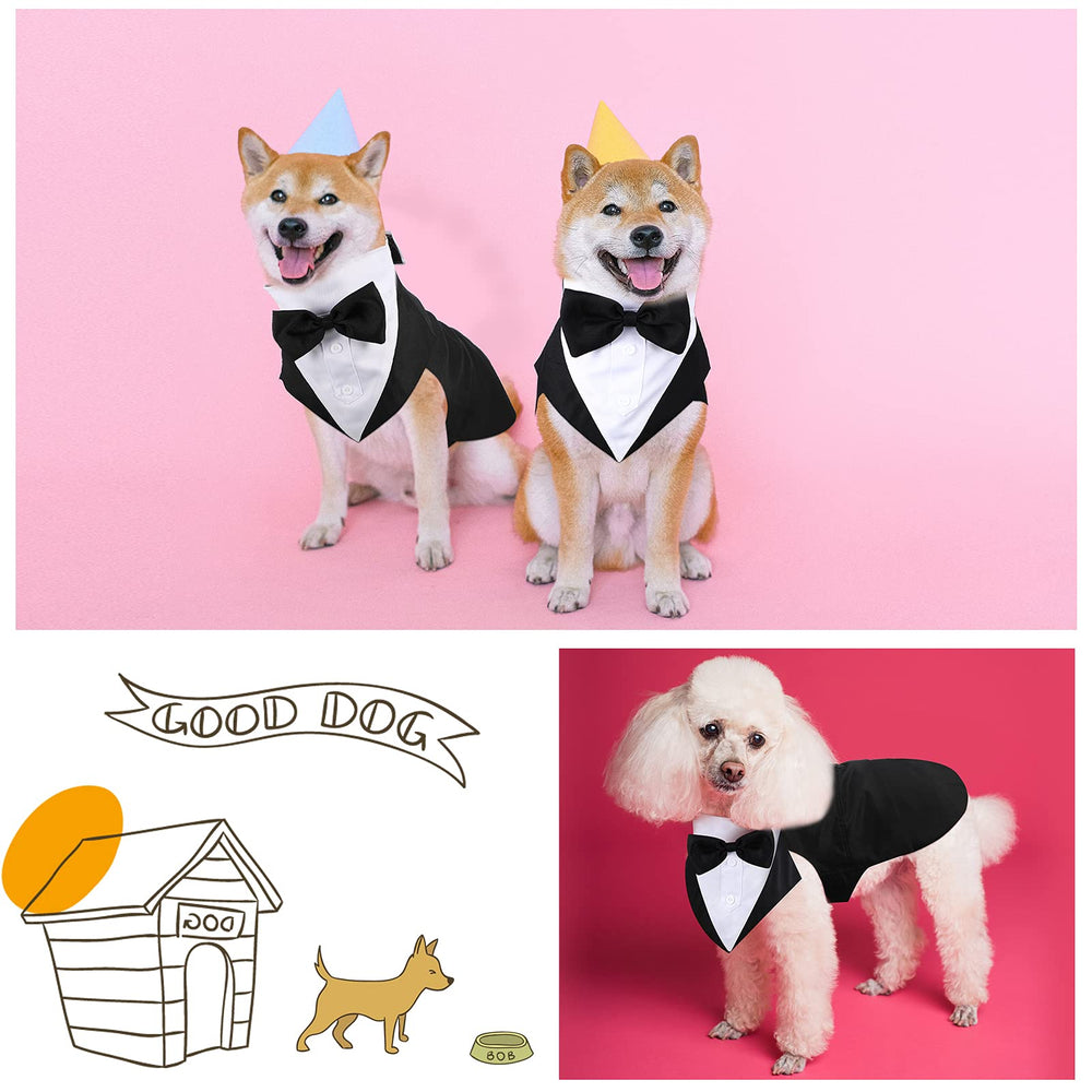 Weewooday dog formal suit ideal for weddings or parties.