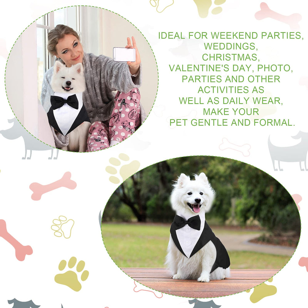 Weewooday dog ready-to-wear look for photos and events.