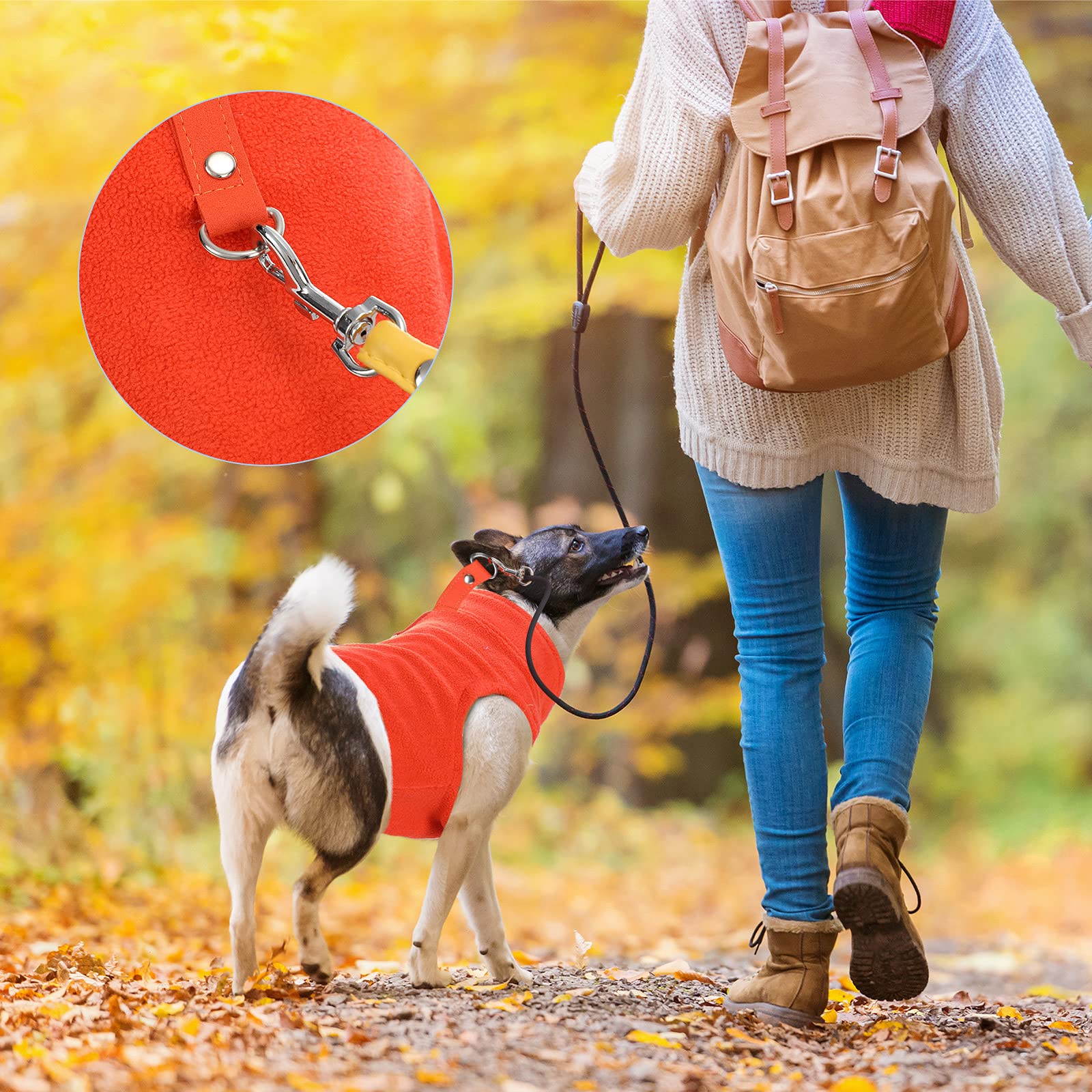 Weewooday leash-ring detail on dog sweater for simple leash-only outings.