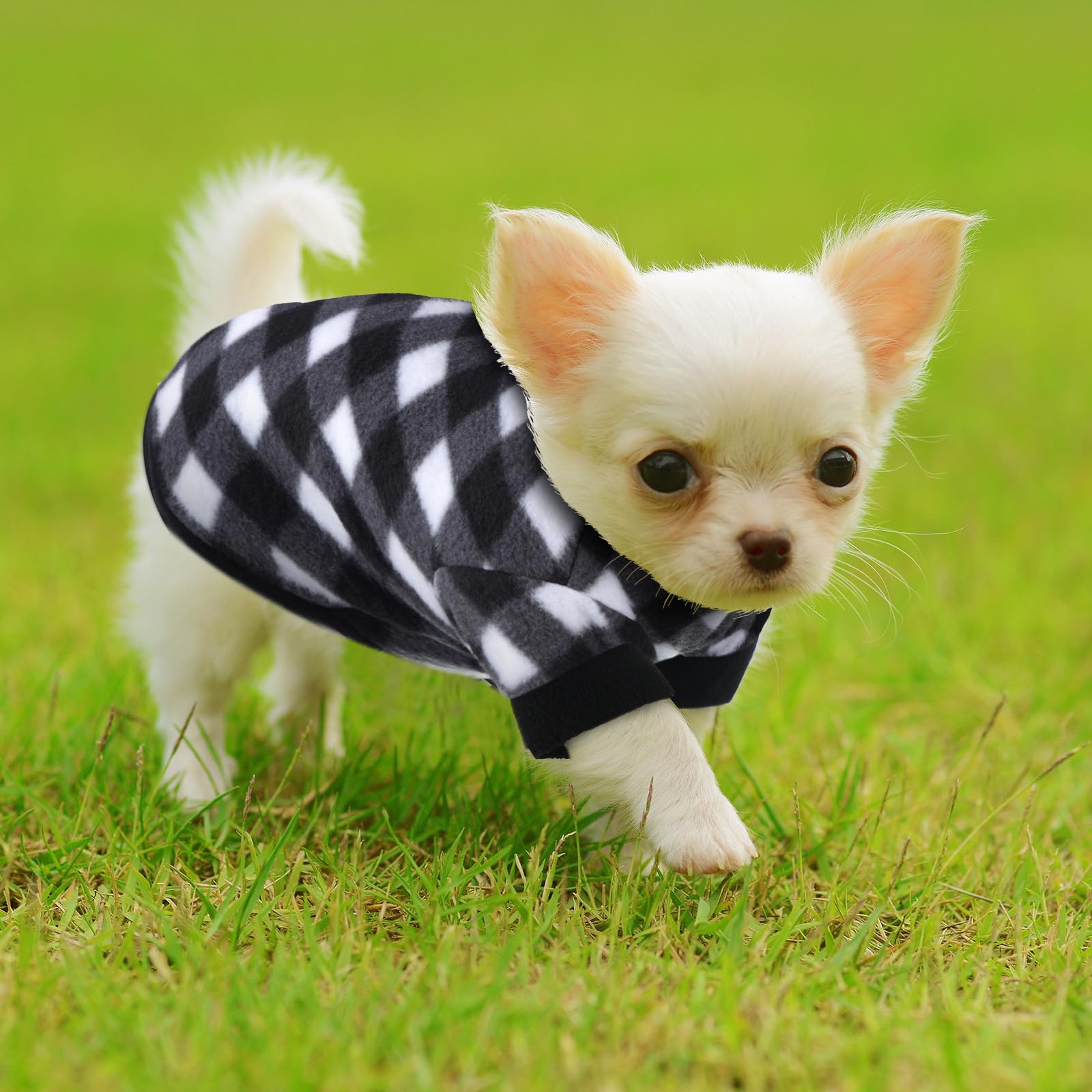 Weewooday small-dog sweaters offer lightweight warmth without restricting movement.