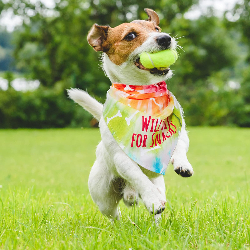 Weewooday easy-washable bandana simplifies care and reuse for pets and photoshoots.
